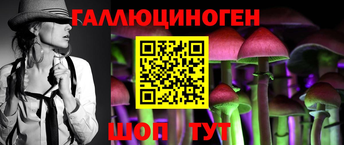 Псилоцибиновые грибы MAGIC MUSHROOMS  Галлюциногенные грибы Psilocybine cubensis  Вход с VPN  Гатчина 